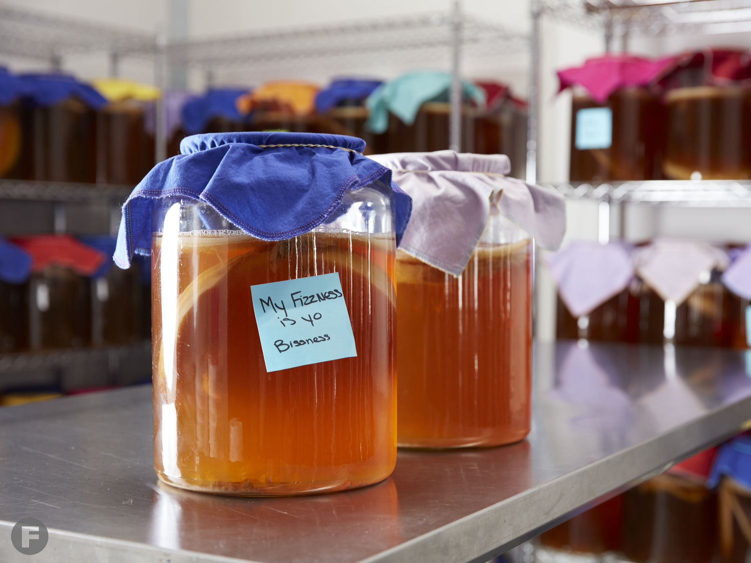 Tea-Biotics kombucha process